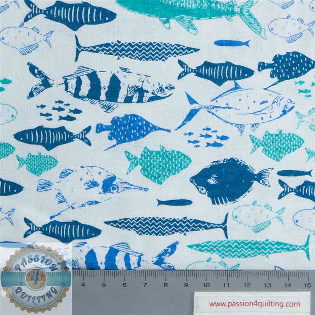Explore the oceans - fish per 25cm