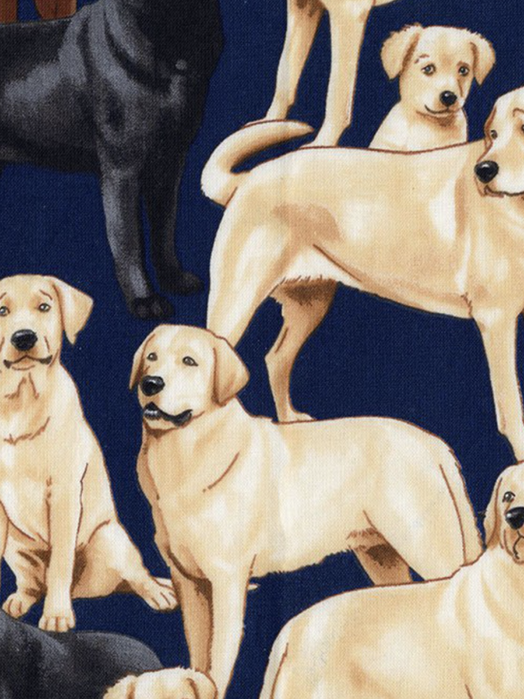 Labrador Retriever C3240 PER 25CM